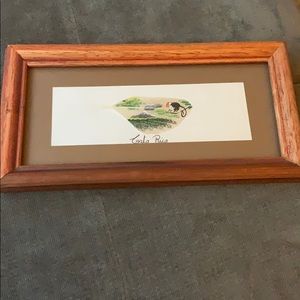 Hand painted feather Costa Rica framed